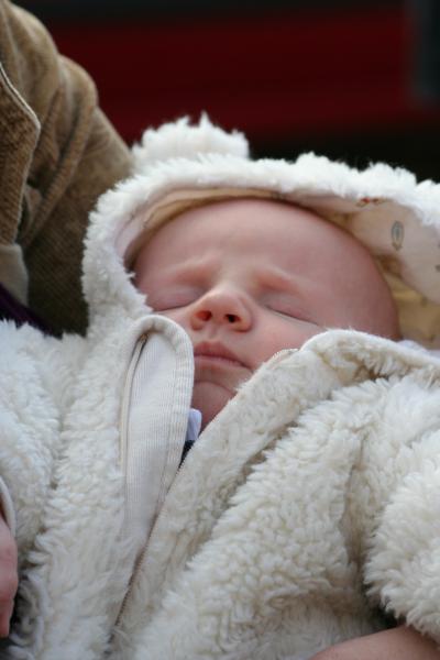 Petit Ours endormi...