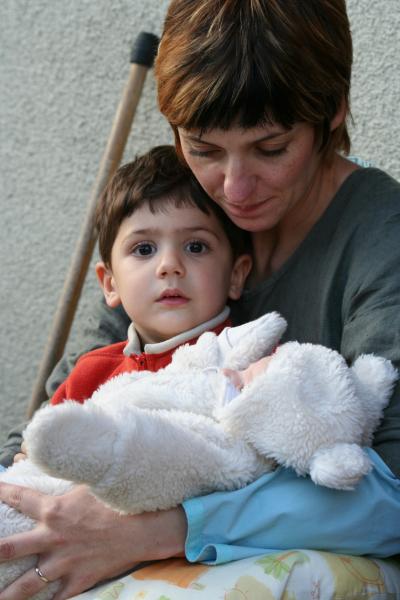 Petit ourson tombé du nid...